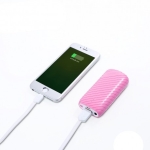 پاور بانک Remax RPL-14 5000mAh Power Bank