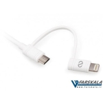 کابل دو پورت نزتک Naztech Hybrid 2 in 1 micro-lightning-data 6ft MFi cable