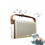 اسپیکر بلوتوث Awei Y300