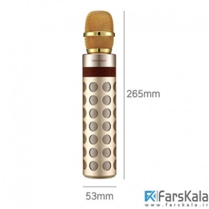 میکروفون و اسپیکر بلوتوث راک Rockspace Bluetooth Speaker with Karaoke Microphone