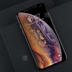 محافظ صفحه نمایش شیشه ای نیلکین Nillkin 3D AP+ Max tempered glass Apple iPhone XS Max