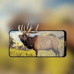 محافظ صفحه نمایش تمام چسب با پوشش کامل Full Glass Screen Protector For Huawei Y6 Pro 2019