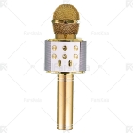 میکروفون و اسپیکر WSTER WS-858