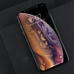 محافظ صفحه نمایش شیشه ای حریم شخصی نیلکین Nillkin 3D AP+ MAX Privacy Glass Apple iPhone 11