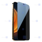 محافظ صفحه نمایش حریم شخصی تمام چسب نیلکین اپل Nillkin Guardian privacy tempered glass For Apple iPhone 12 12 Pro