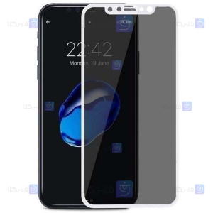 گلس حریم شخصی Apple iPhone Xs