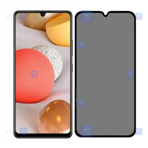 محافظ صفحه Samsung Galaxy A42 5G مدل حریم شخصی