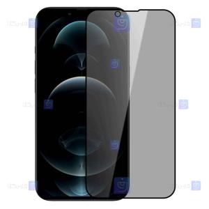 گلس حریم شخصی نیلکین Apple iPhone 13 Pro Max مدل Guardian Privacy