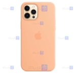 قاب سیلیکونی اصلی Apple iPhone 12 Pro با قابلیت مگ سیف