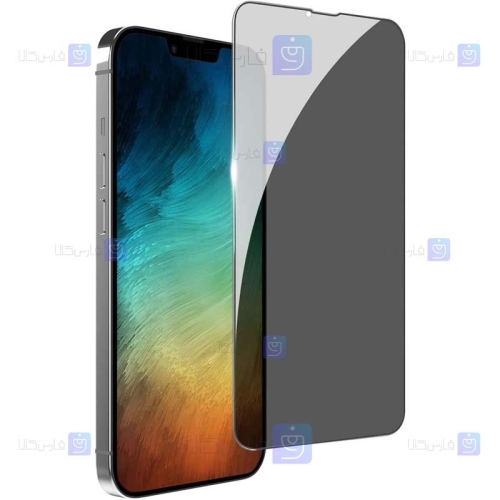 محافظ صفحه Apple iPhone 13 Pro Max مدل حریم شخصی