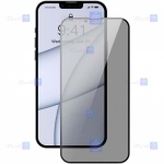 محافظ صفحه دو تایی بیسوس Apple iPhone 13 Pro مدل حریم شخصی