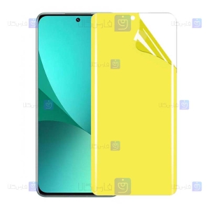 محافظ صفحه نانو Xiaomi 12 Pro مدل تمام صفحه