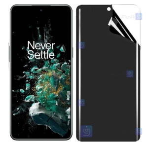 محافظ صفحه نانو گوشی Oneplus Ace Pro مدل حریم شخصی