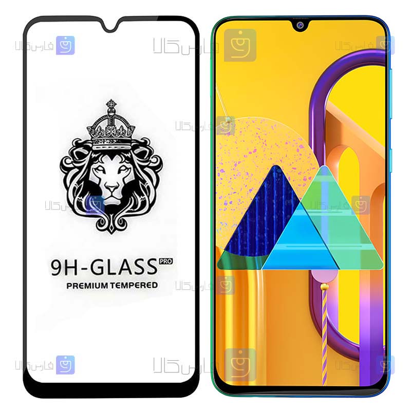 گلس فول Samsung Galaxy M30s مدل CASSIEY