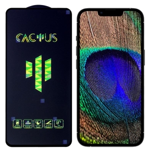 گلس گوشی Apple iPhone 13 Pro Max مدل Cactus