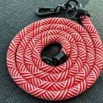 آویز و بند گردنی موبایل مدل Lanyard
