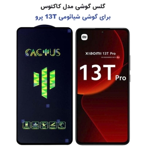 گلس 13T Pro مدل Cactus