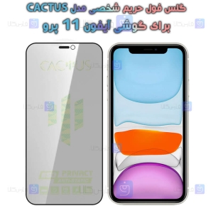 گلس پرایوسی کاکتوس گوشی آیفون 12 پرو