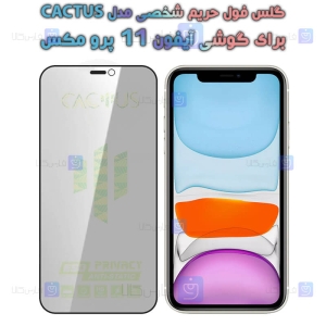 گلس پرایوسی کاکتوس گوشی آیفون 11 پرو مکس