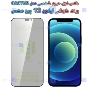 گلس پرایوسی کاکتوس گوشی آیفون 12 پرو مکس