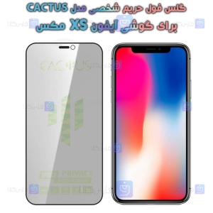 گلس پرایوسی کاکتوس گوشی آیفون Xs Max