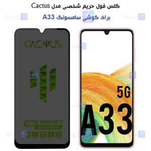 گلس پرایوسی کاکتوس گوشی سامسونگ A33