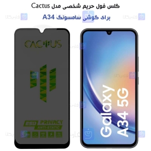 گلس پرایوسی کاکتوس گوشی سامسونگ A34