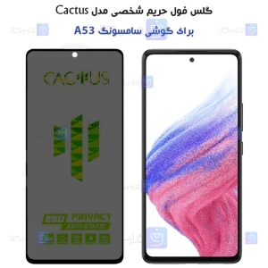 گلس پرایوسی کاکتوس گوشی سامسونگ A53 5G