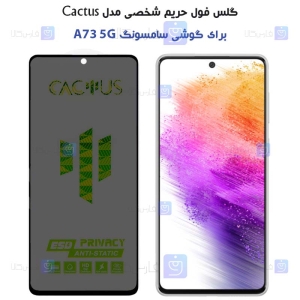 گلس پرایوسی کاکتوس گوشی سامسونگ A73 5G