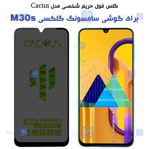گلس حریم شخصی Samsung Galaxy M30s برند Cactus