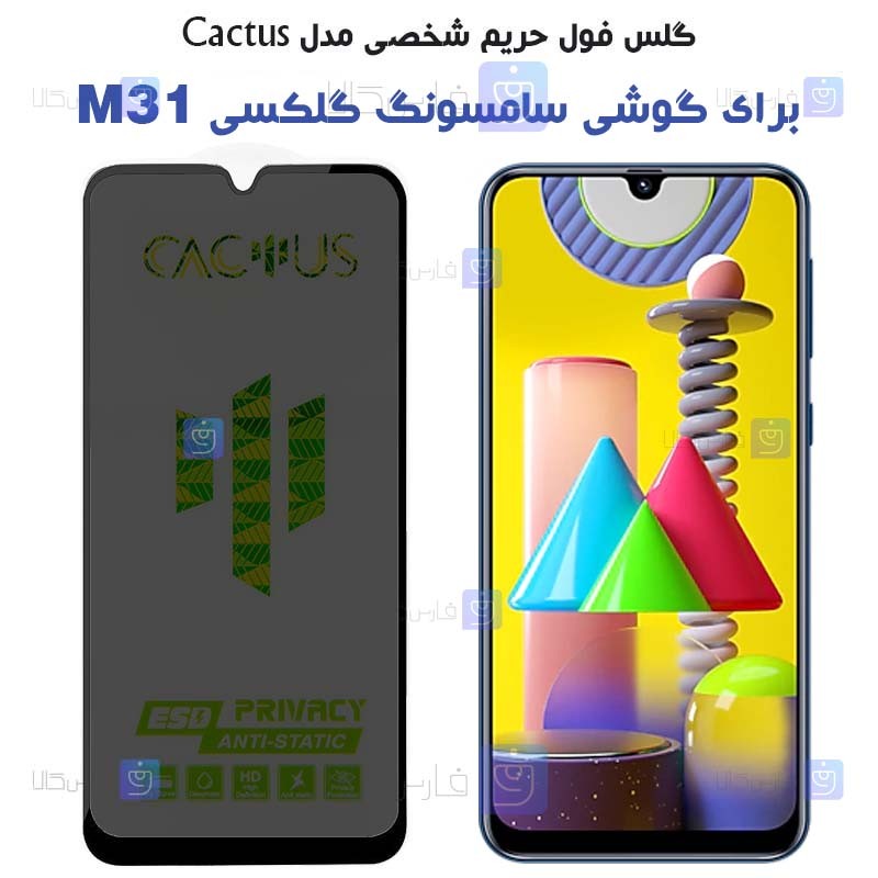 گلس حریم شخصی Samsung Galaxy M31 برند Cactus