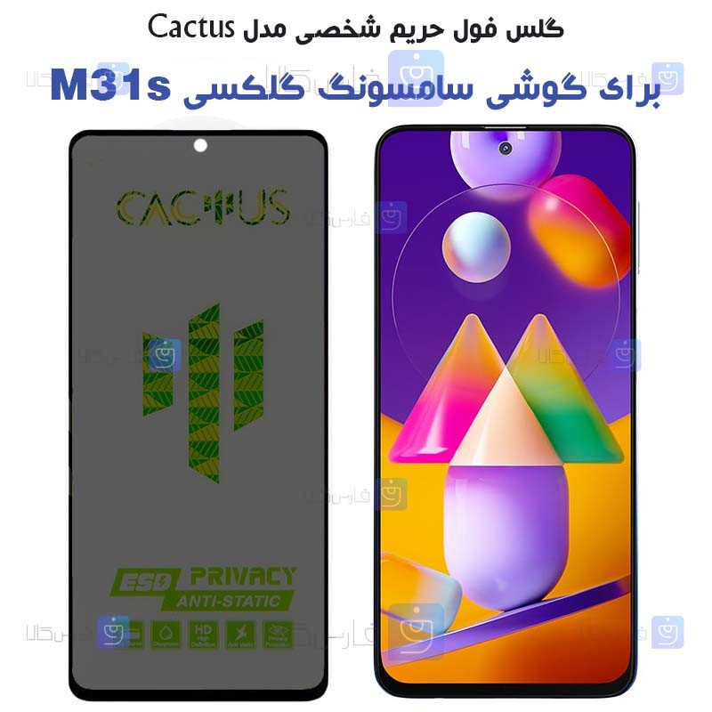 گلس حریم شخصی Samsung Galaxy M31s برند Cactus