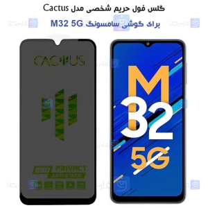 گلس پرایوسی کاکتوس گوشی سامسونگ M32 5G