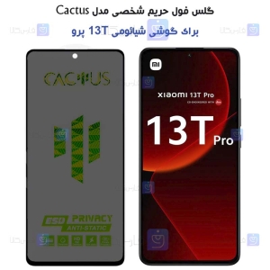 گلس پرایوسی کاکتوس گوشی 13T Pro