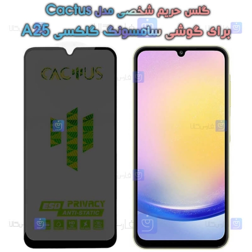 گلس پرایوسی کاکتوس گوشی سامسونگ A25