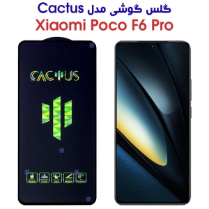 گلس گوشی شیائومی Poco F6 Pro مدل کاکتوس