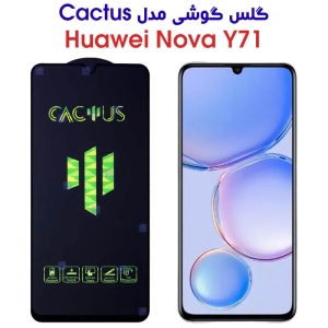 گلس گوشی هواوی Y71 مدل کاکتوس