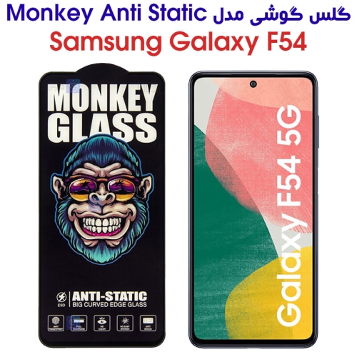 گلس گوشی سامسونگ گلکسی F54 مدل Monkey Anti Static