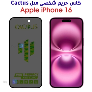 گلس حریم شخصی آیفون 16 برند Cactus