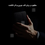 قاب نیلکین CamShield Pro گوشی OnePlus 13R