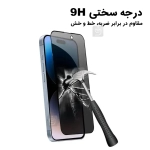 گلس حریم شخصی کاکتوس گوشی سامسونگ F06